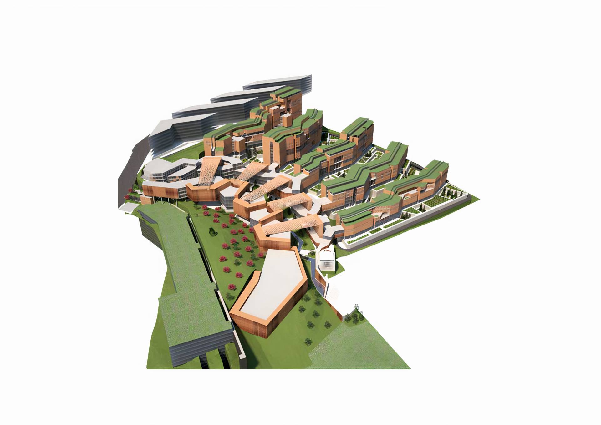 The integration and the master plan of the medical departments of ...